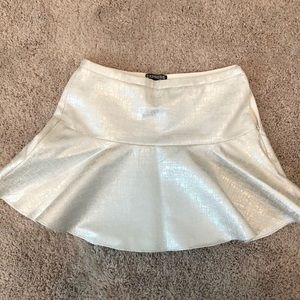 Silver skirt